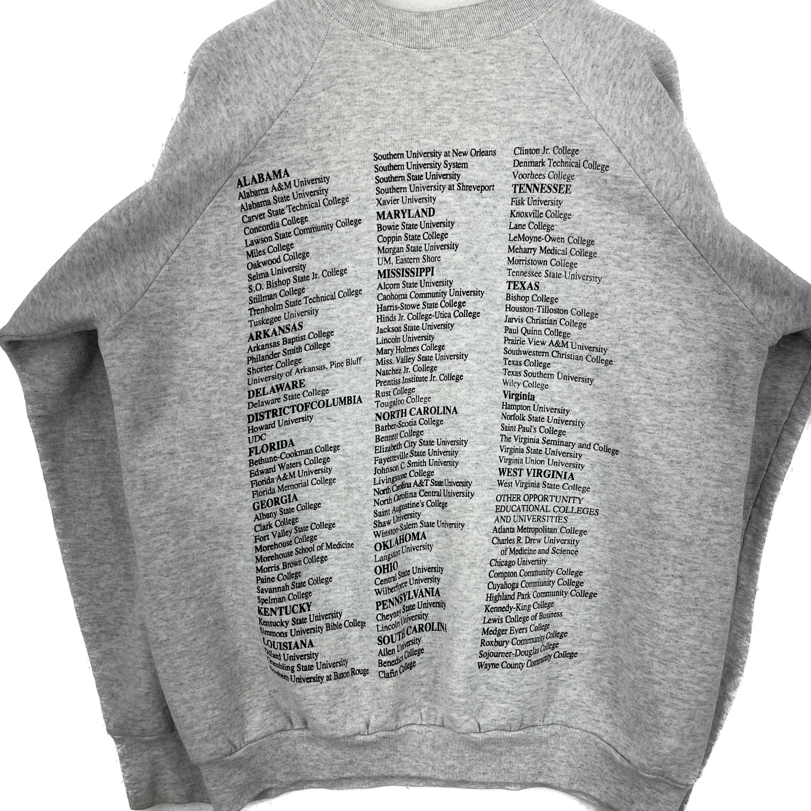 Vintage University Of African American Art Gray Sweatshirt Size XL Raglan Sleeve