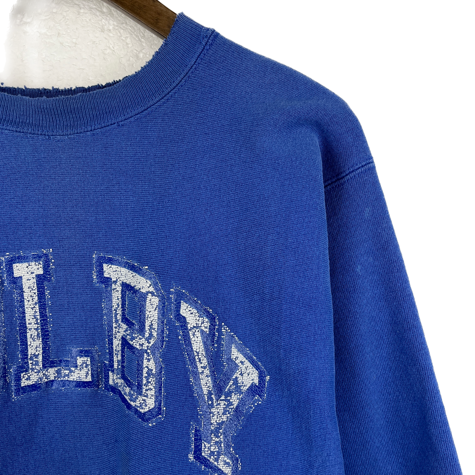 Vintage Champion Reverse Weave Colby Blue Sweatshirt Size L