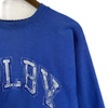 Vintage Champion Reverse Weave Colby Blue Sweatshirt Size L