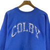 Vintage Champion Reverse Weave Colby Blue Sweatshirt Size L