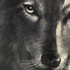 Diesel Wolf Animal Wildlife Print Black T-shirt Size S