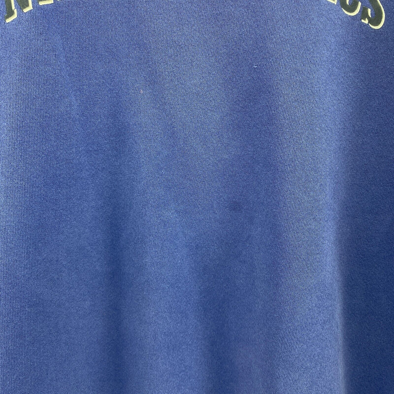Nike Athletics Puple Sweatshirt Size XL Crewneck