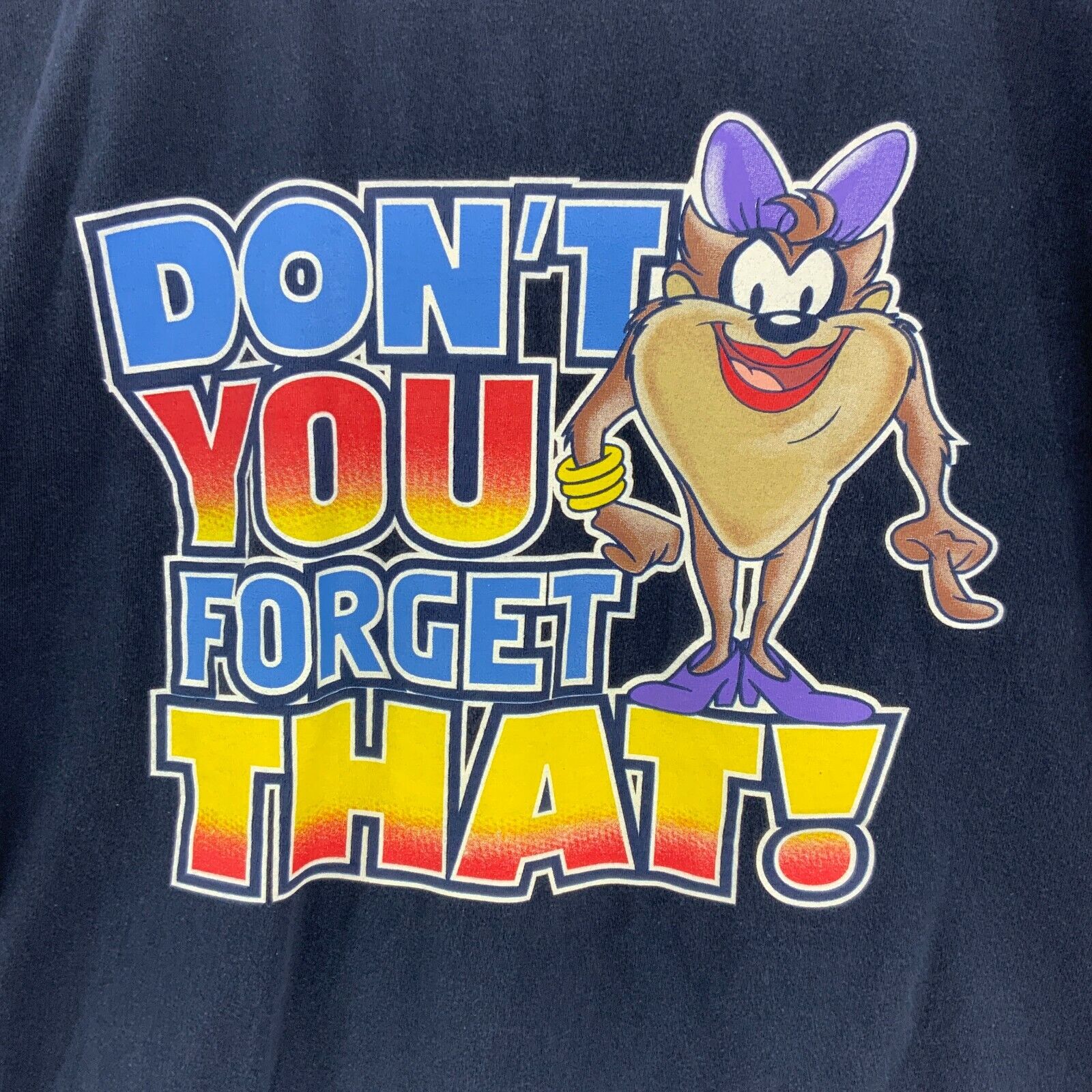Looney Tunes Taz I Make The Rule Around Here Dark Blue T-shirt Size 2XL