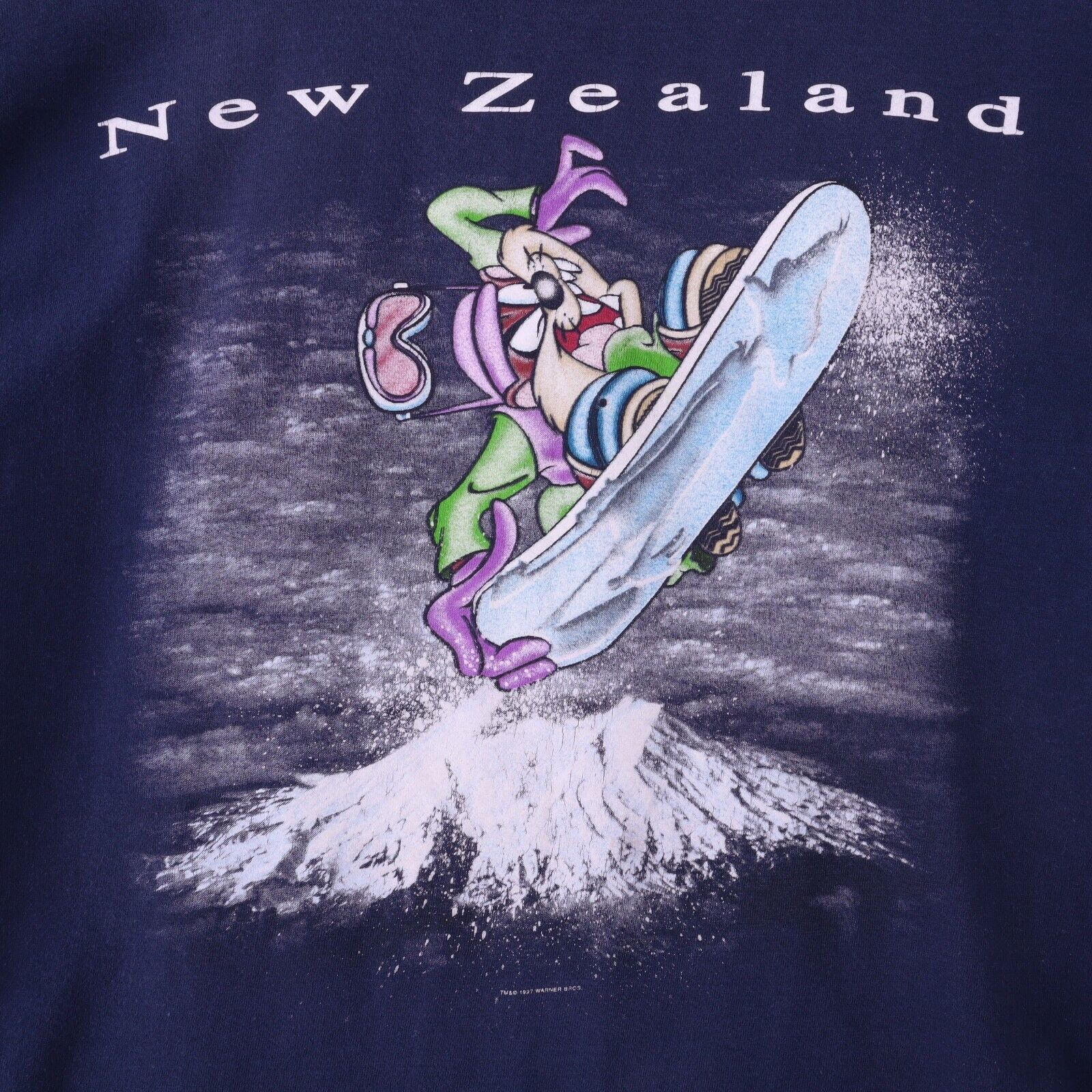 Tasmanian Devil Surfing New Zealand Blue T-shirt Size M Single Stitch 1987