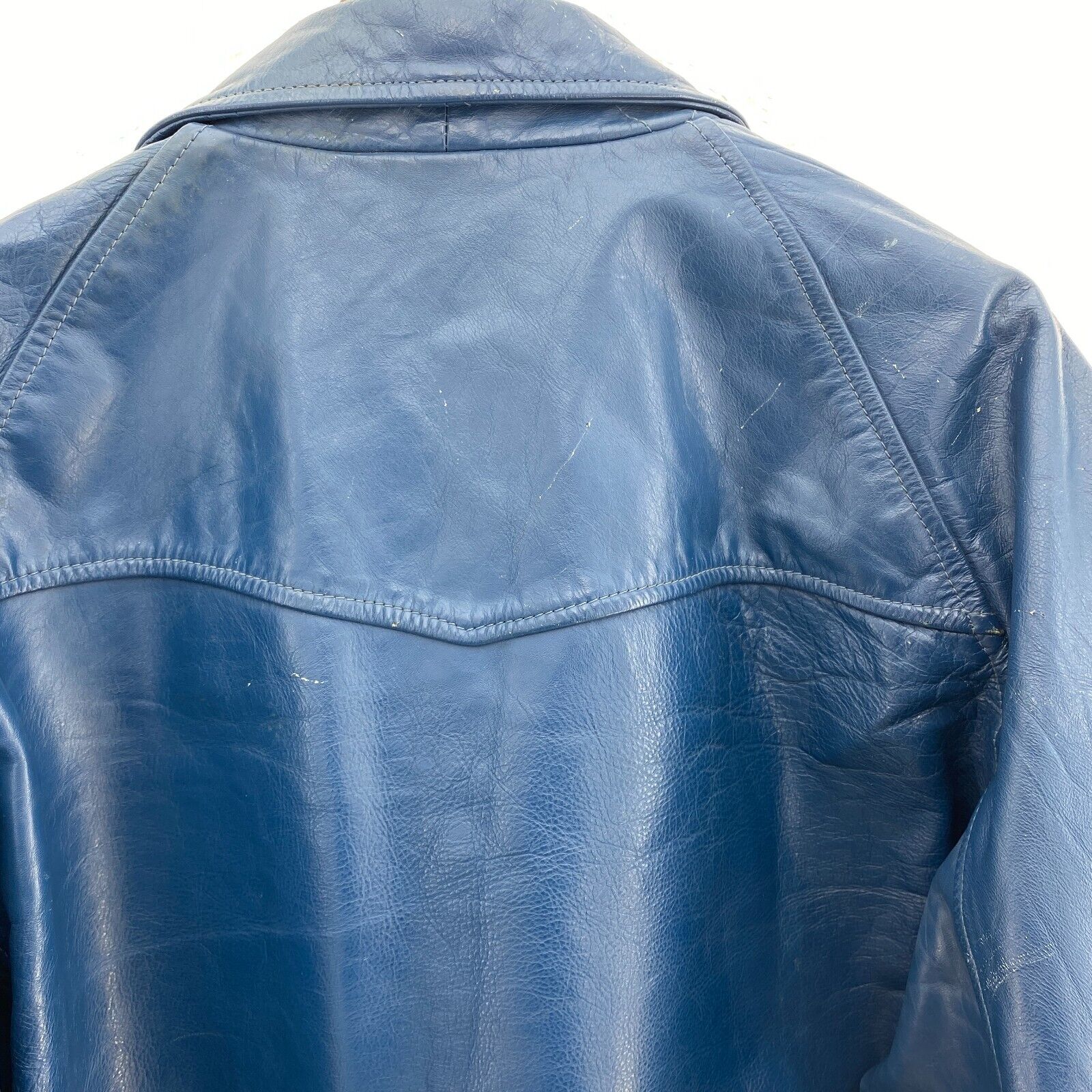Canadian Champions Hardy Cup Panthers Varsity Leather Jacket Size M NCAA