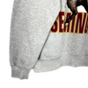 Vintage Nutmeg FSU Seminoles University Football Gray Sweatshirt Size L